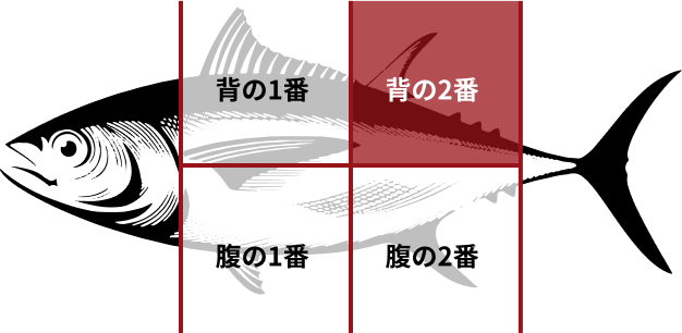 マグロの種類