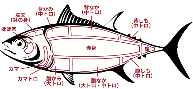 マグロの種類